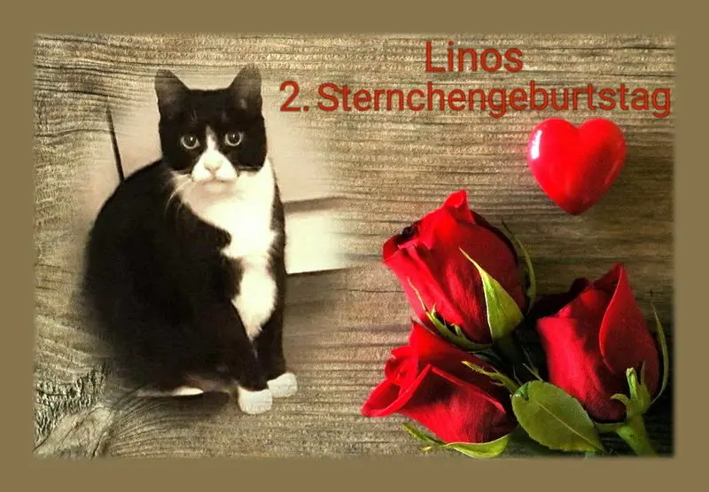 Condolence image of 2.Sternchengeburtstag❤️