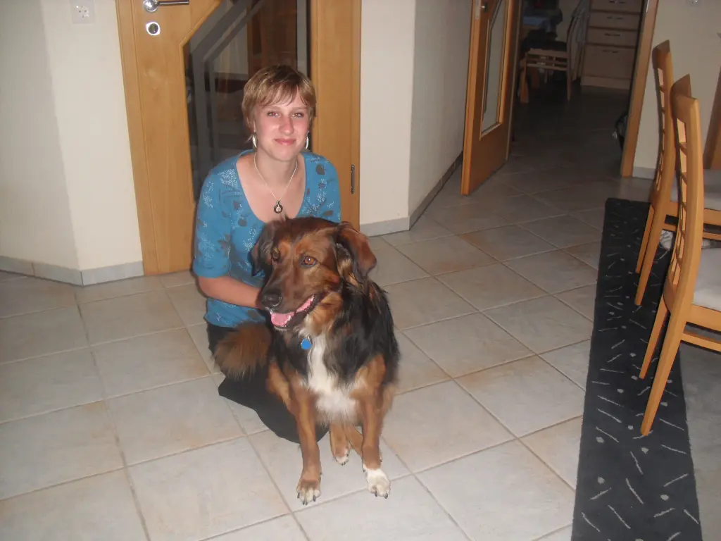 Image from Chispa