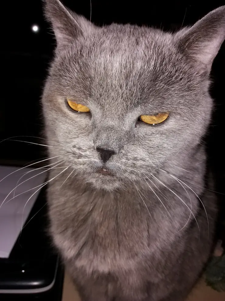 Andachtsbild von Sabine mit Kaspar tief im Herzen✟ 24.05.2019