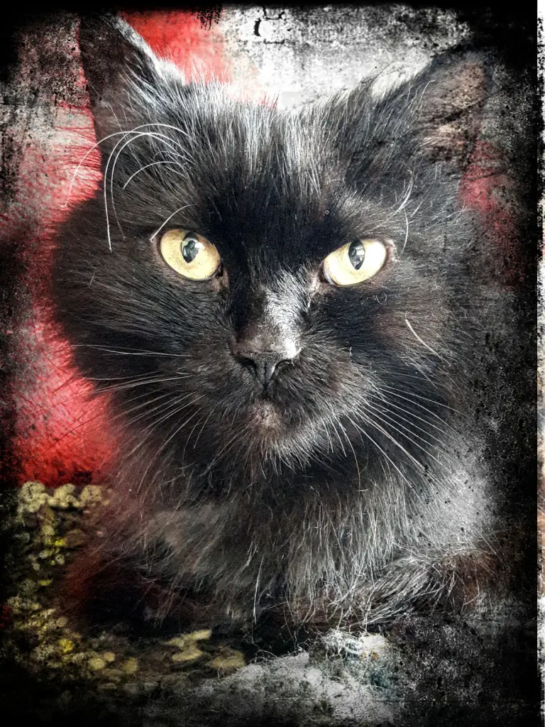 Condolence image of Alexandra