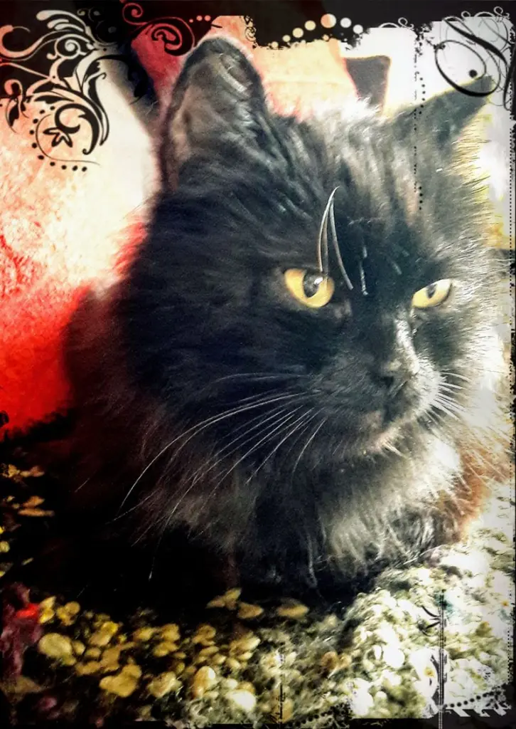 Condolence image of Alexandra
