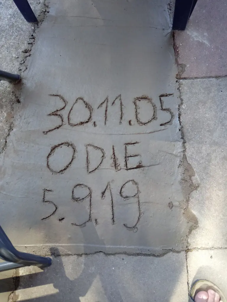 Image from Odie