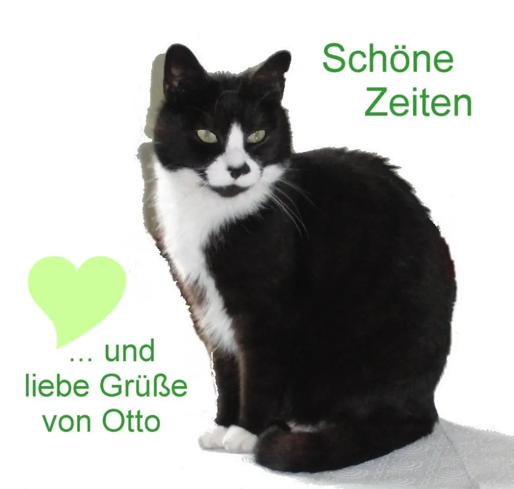 Image from Otto