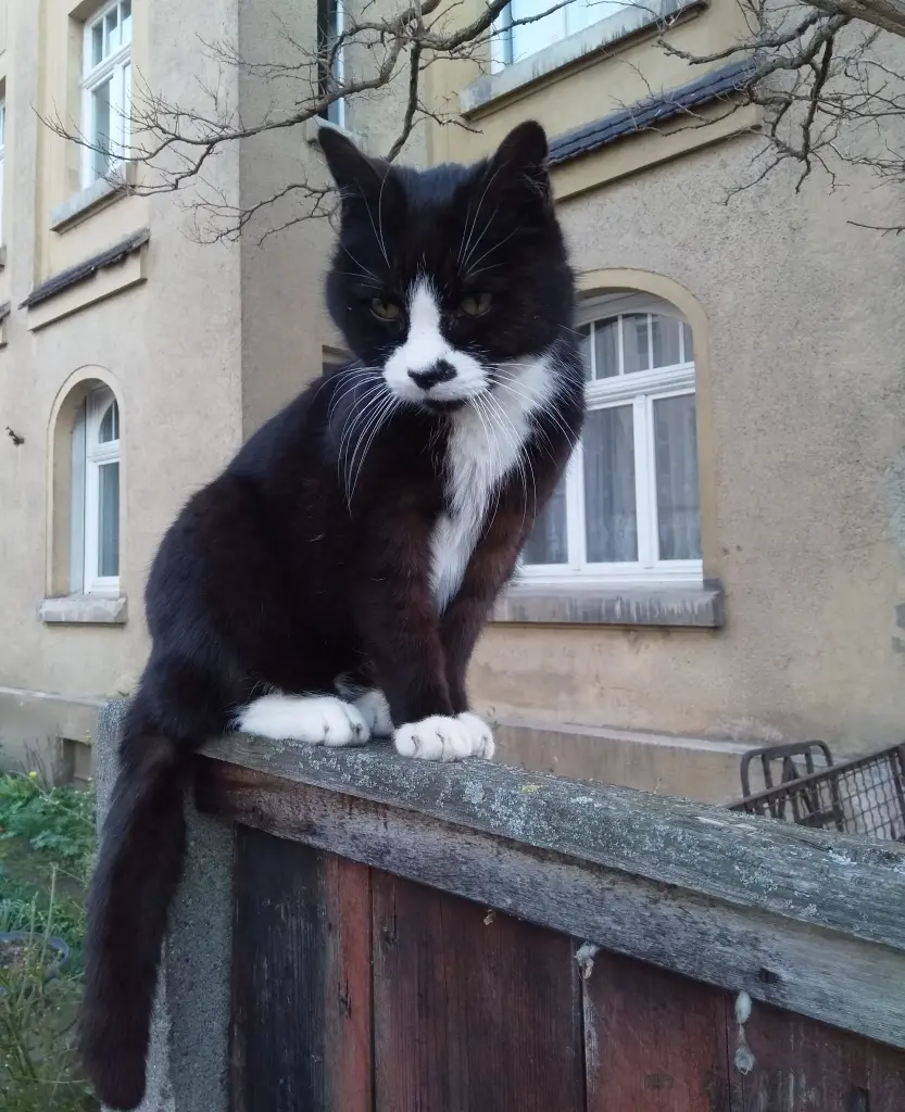 Image from Otto