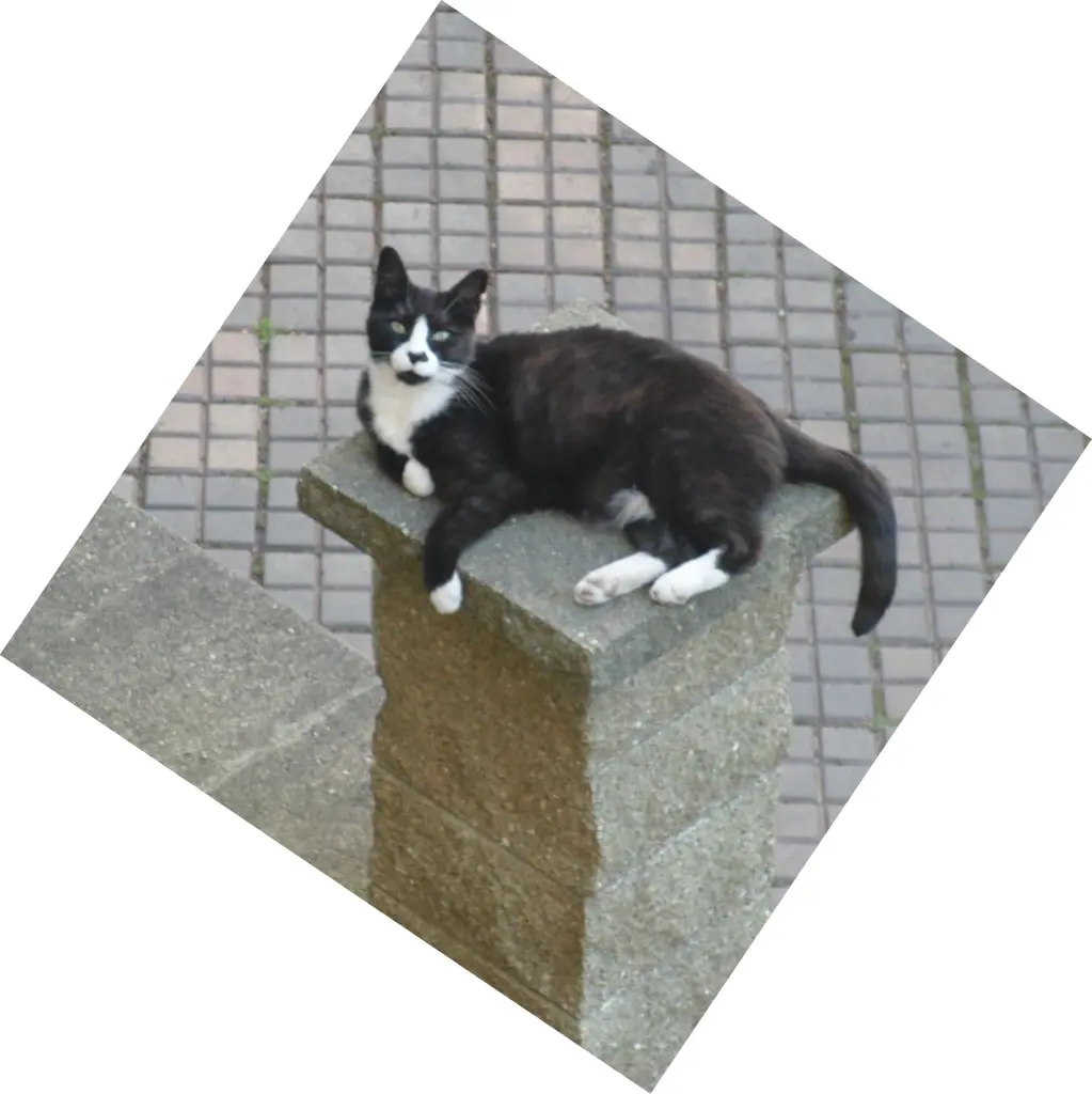Image from Otto