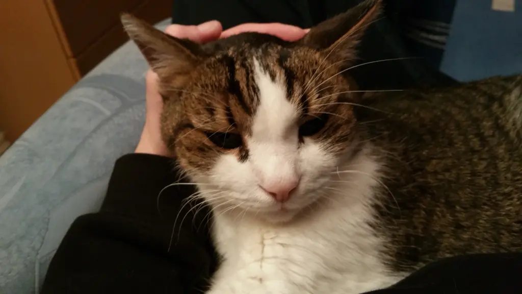 Andachtsbild von Tanja mit Timmy im Herzen