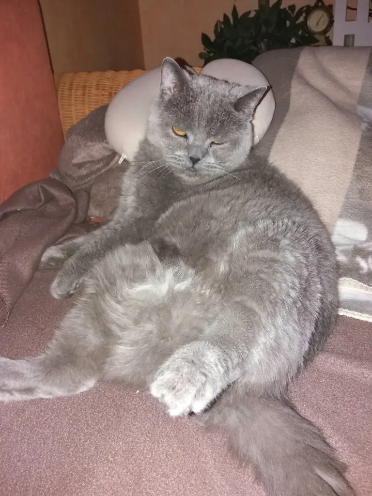 Andachtsbild von Sabine mit Kaspar tief im