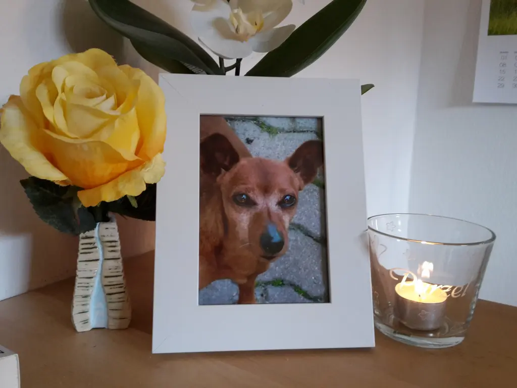 Condolence image of Jutta mit Purzel tief im Herzen✟08.05.2016