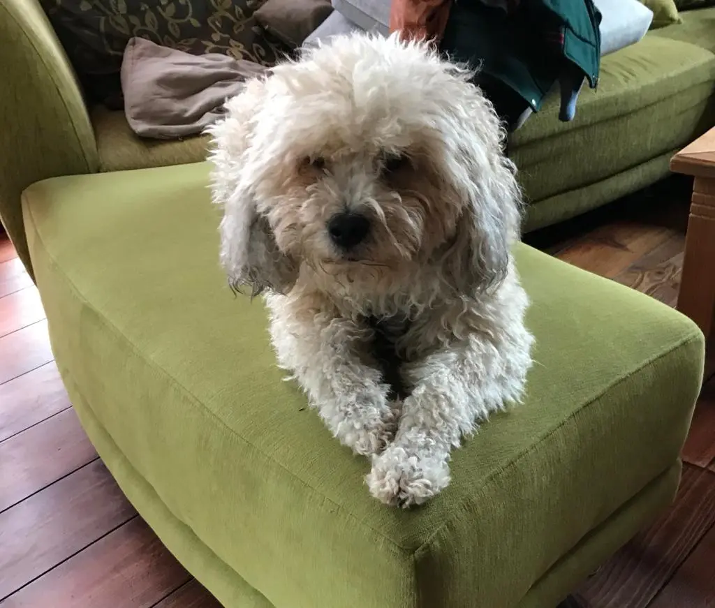 Image from Banjo