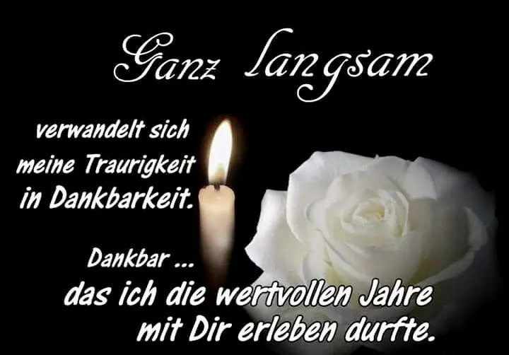 Condolence image of Martina mit Sam im Herz