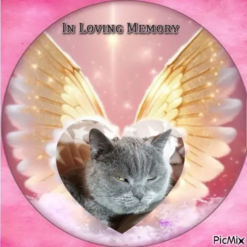 Condolence image of ❤️❤️❤️❤️❤️❤️❤️❤️❤️