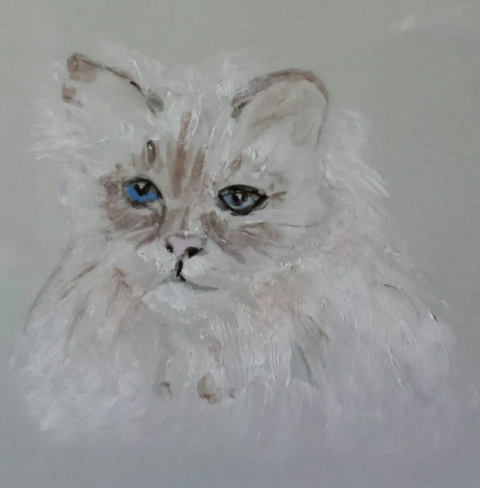 Image from Steffie