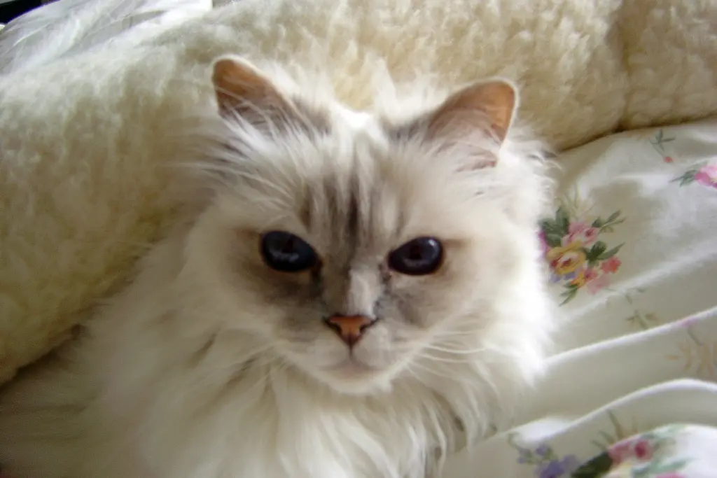 Image from Steffie