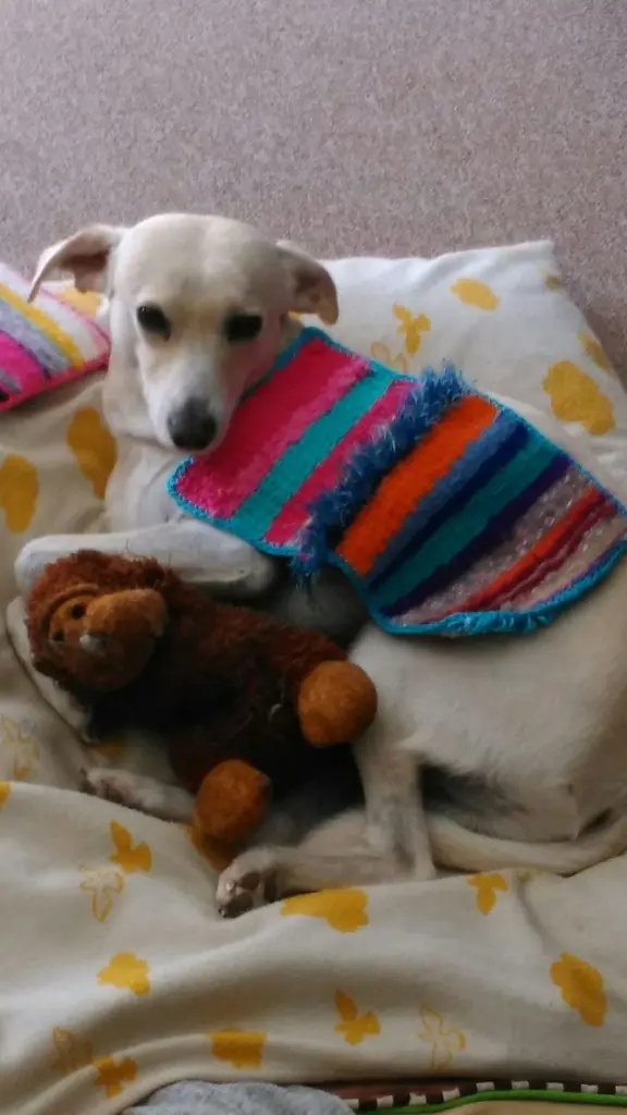 Condolence image of Unbekannt