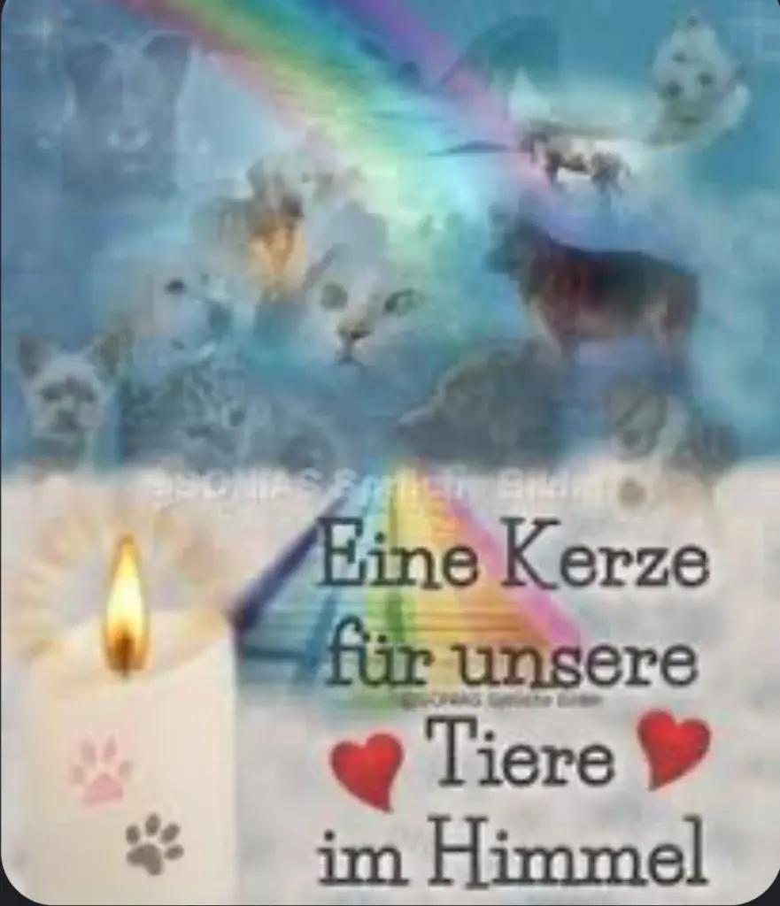 Condolence image of Unbekannt