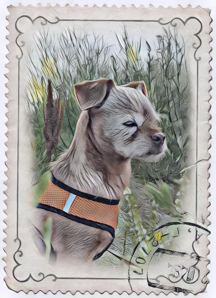 Condolence image of Sabine