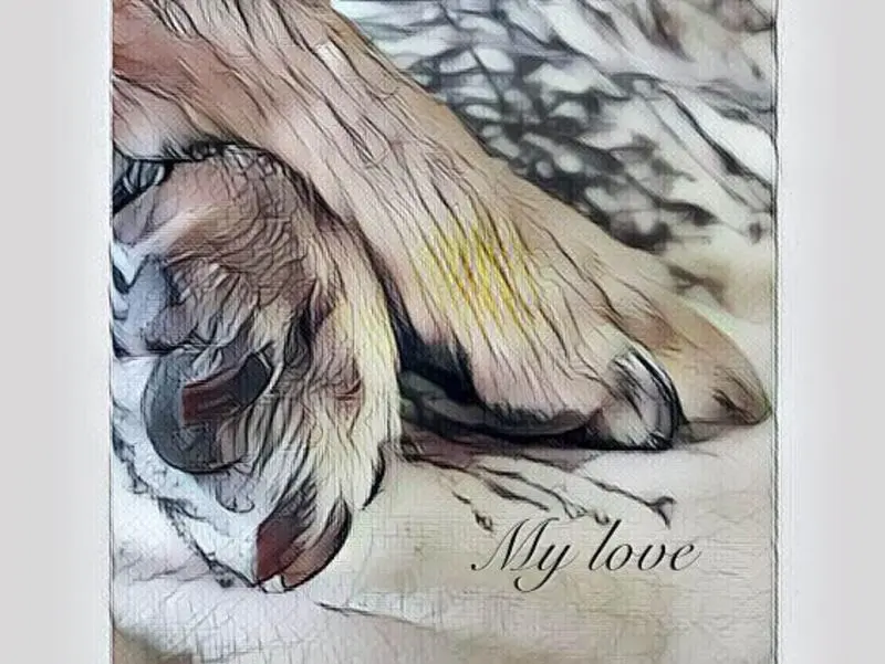 Condolence image of Sabine