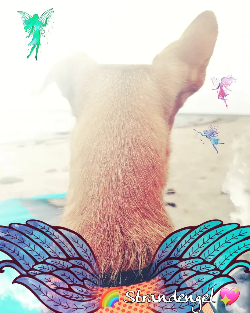 Image from Shila