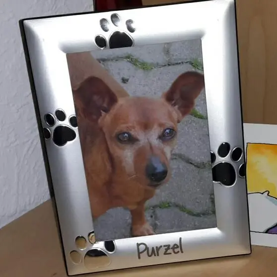 Condolence image of Jutta mit Purzel tief im Herzen✟08.05.2016 