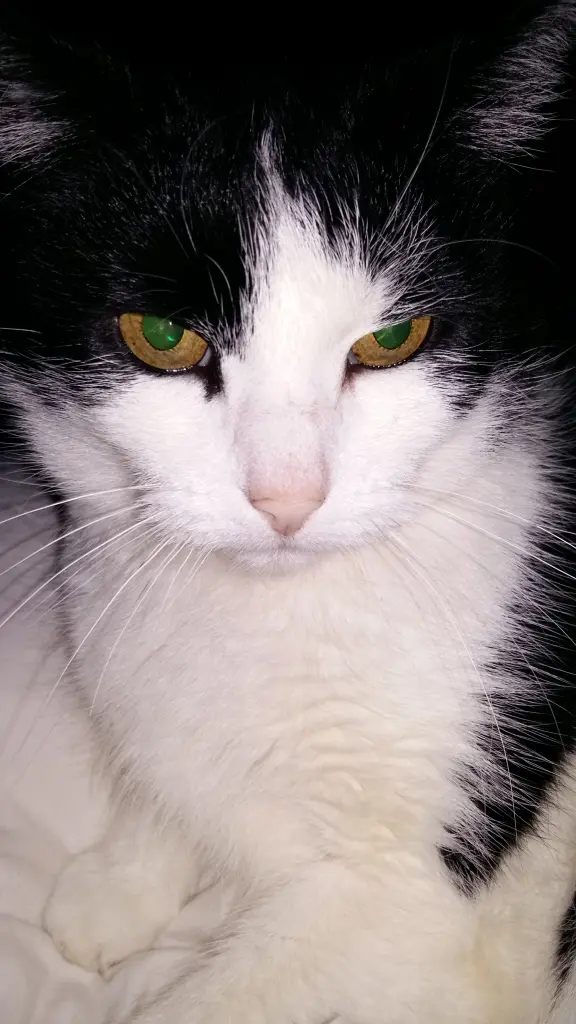 Image from Tapsi