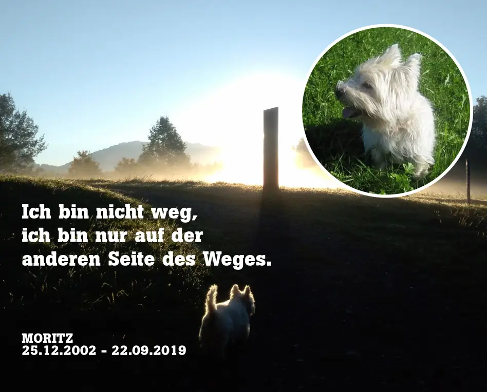 Image from Moritz
