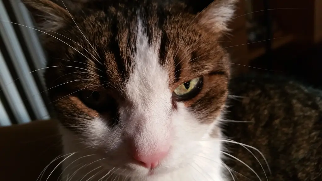 Andachtsbild von Tanja mit Timmy im Herzen