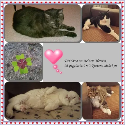 Andachtsbild von Ilse mit Tier-Sternlein Jule, Gismo, Fee und Minna im Herzen