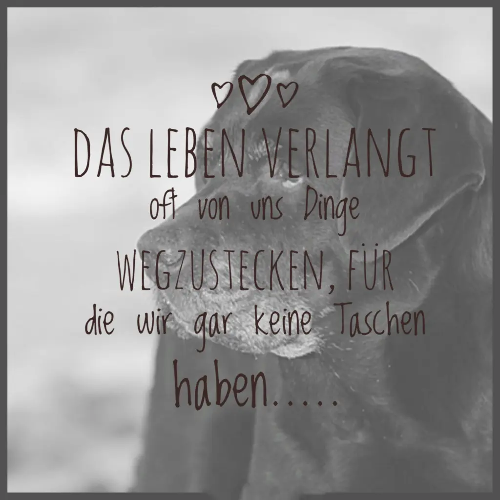 Condolence image of Unbekannt