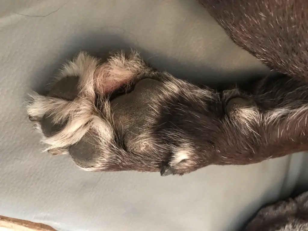 Image from July