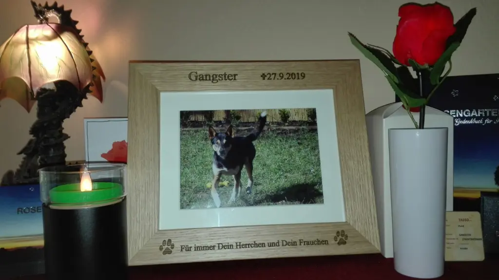 Condolence image of Frauchen