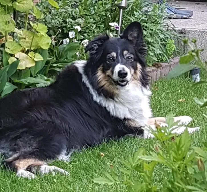 Andachtsbild von Claudia von Emma