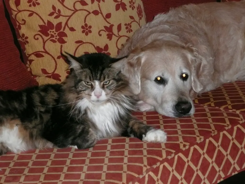 Andachtsbild von Peggy Bluhm
