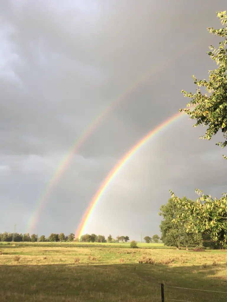 Andachtsbild von Peggy Bluhm