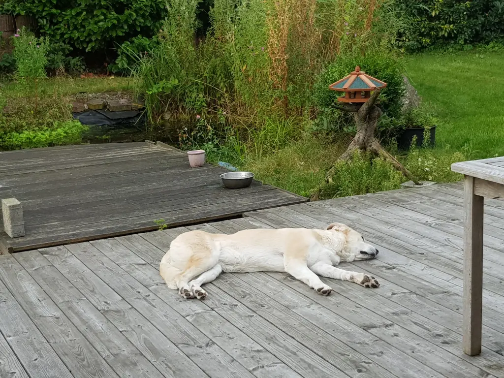 Andachtsbild von Martin