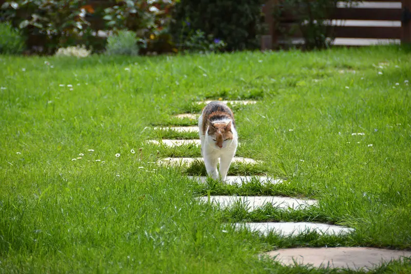 Andachtsbild von Sabine mit Mimmi im Herzen