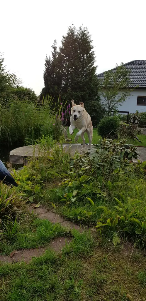 Bild von Frieda