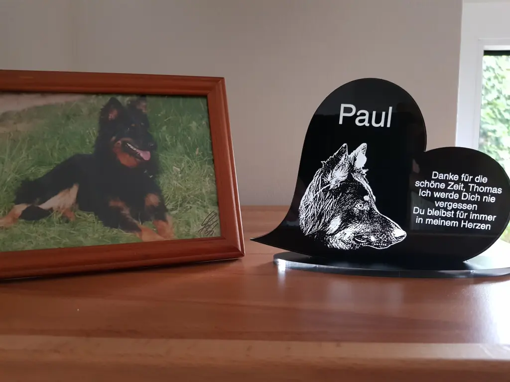 Image from Paul
