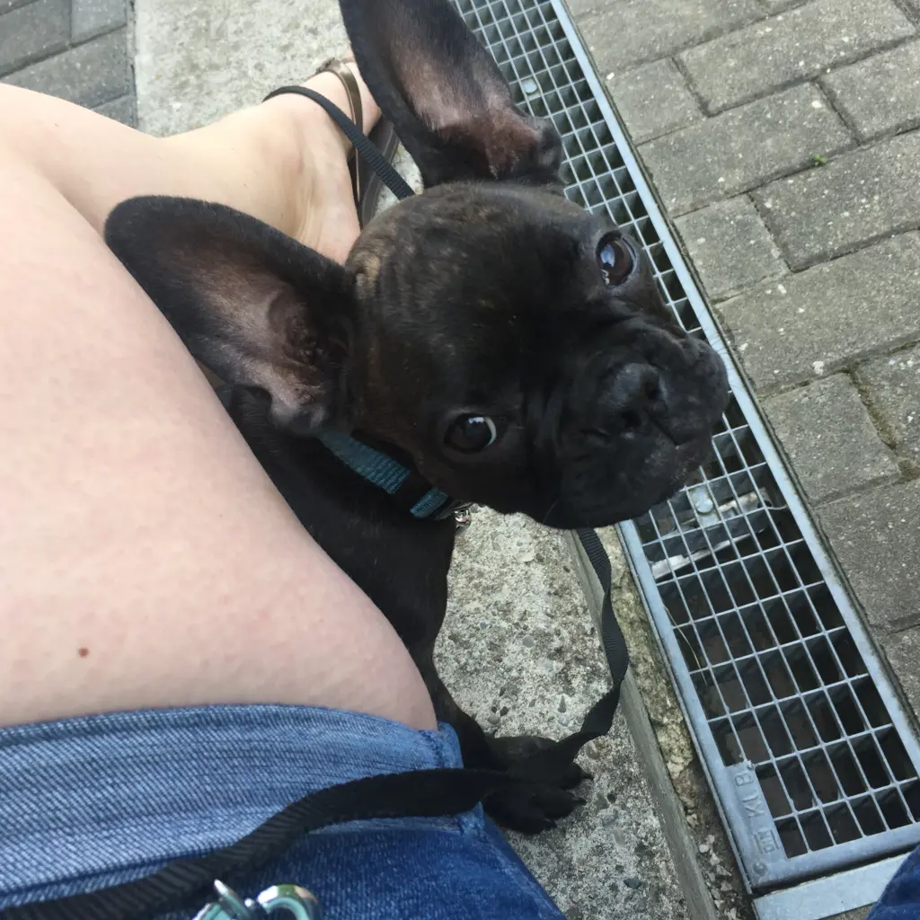 Image from Ella