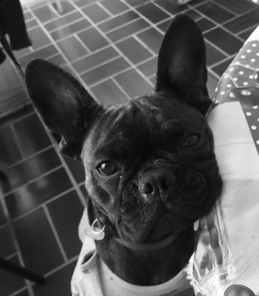 Image from Ella