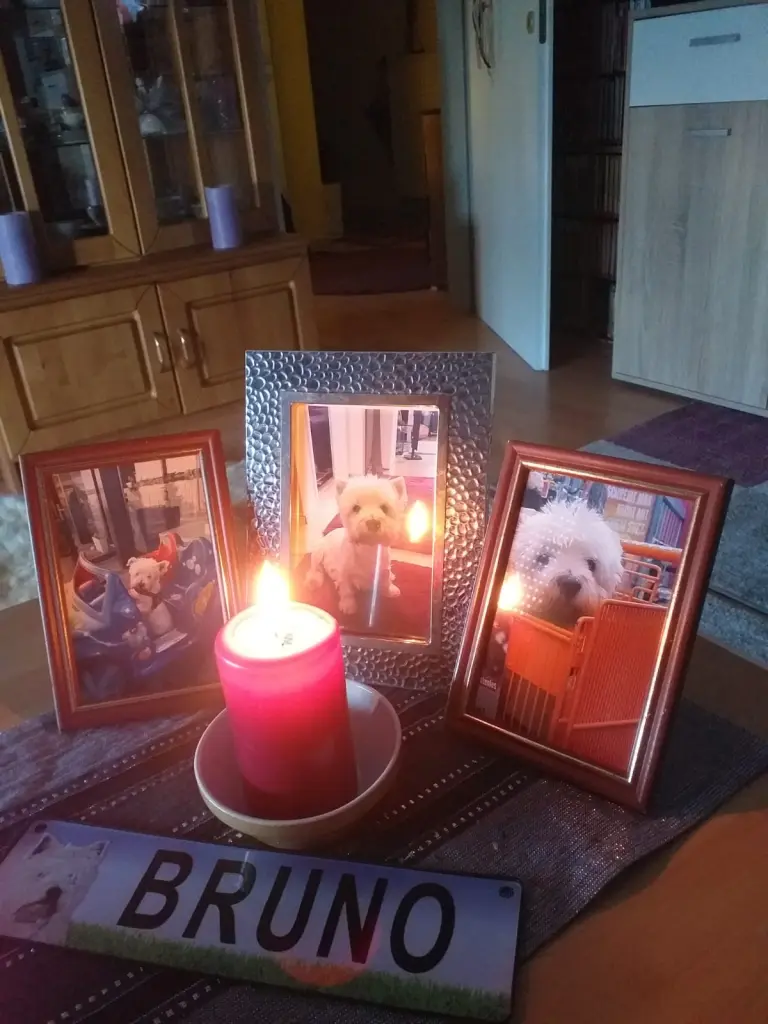 Condolence image of Holger Deine Familie