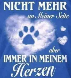 Condolence image of Deine Familie