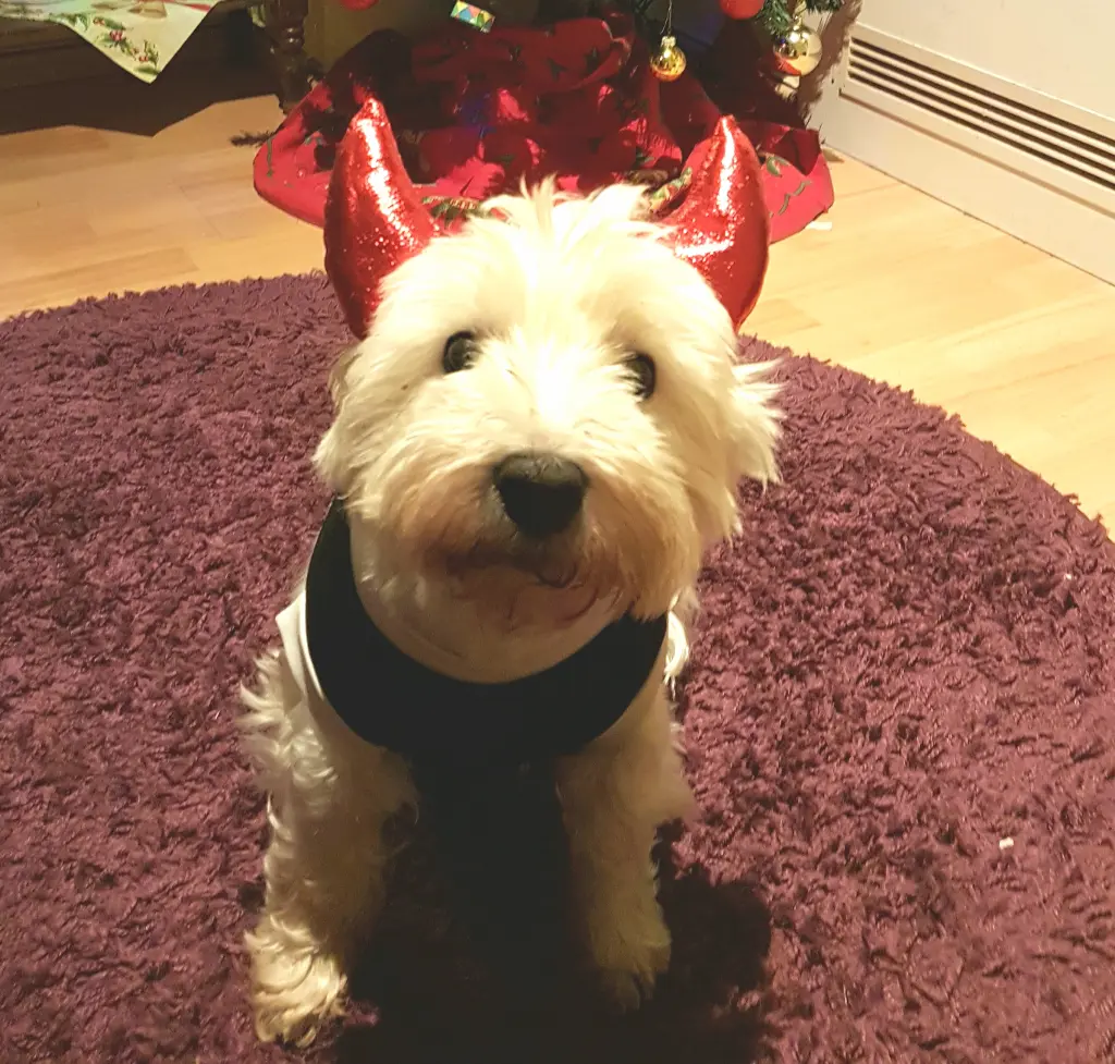 Condolence image of Ronja