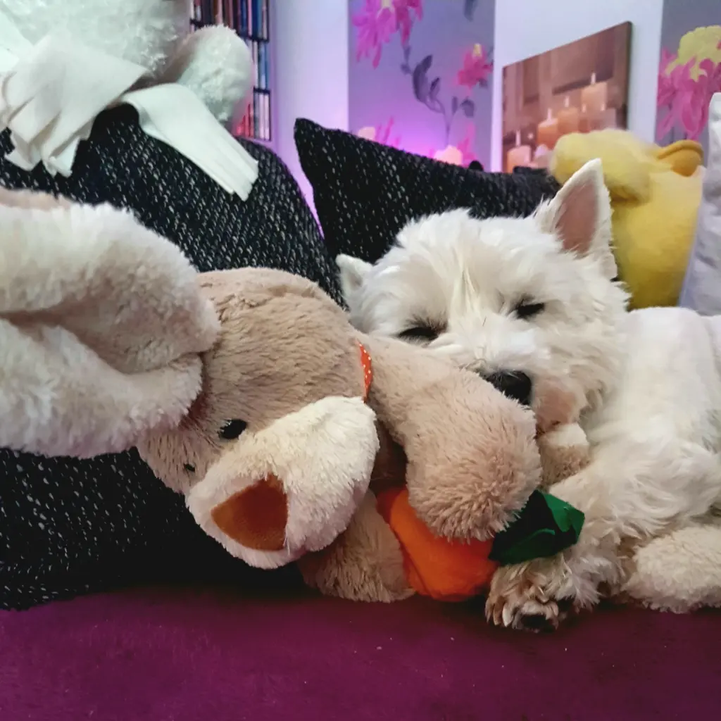 Condolence image of Deine Familie