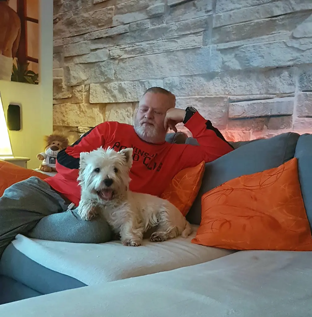Image from Bruno
