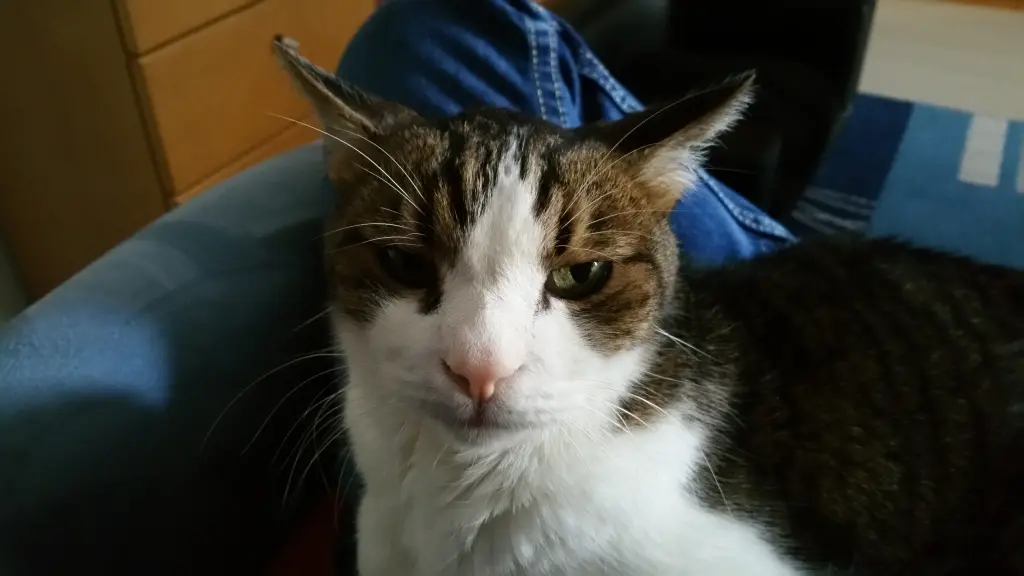 Andachtsbild von Tanja mit Timmy im Herzen