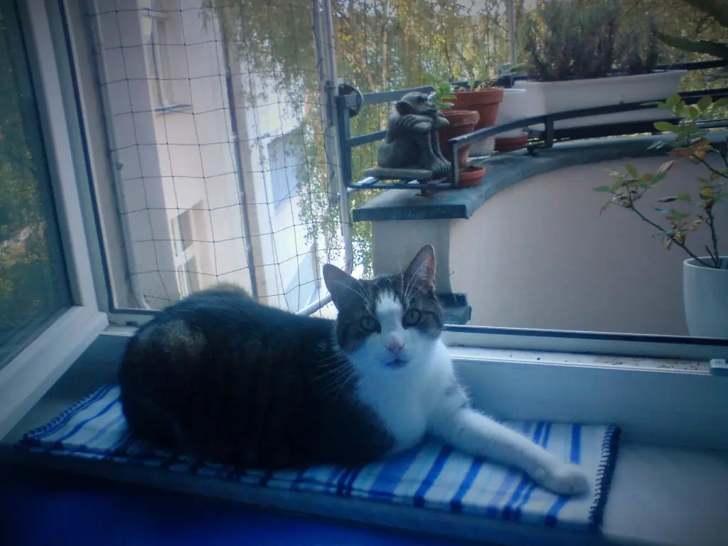 Andachtsbild von Christine
