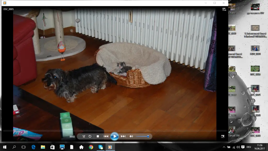 Andachtsbild von Patrick.
