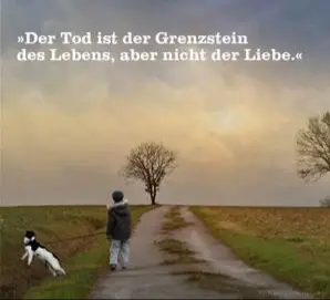 Condolence image of Sabine mit Kaspar tief im Herzen