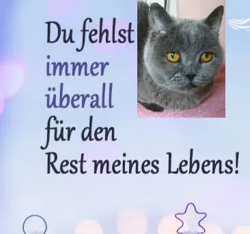 Condolence image of Sabine mit Kaspar tief im Herzen