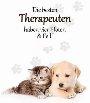 Condolence image of Sabine mit Kaspar tief im Herzen